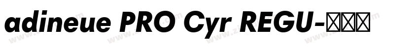 adineue PRO Cyr REGU字体转换